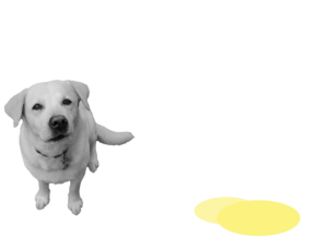 Illustration eines Hundes mit Urinfleck
